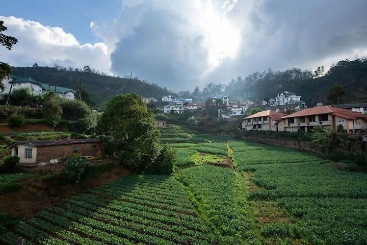 High Garden Hotel