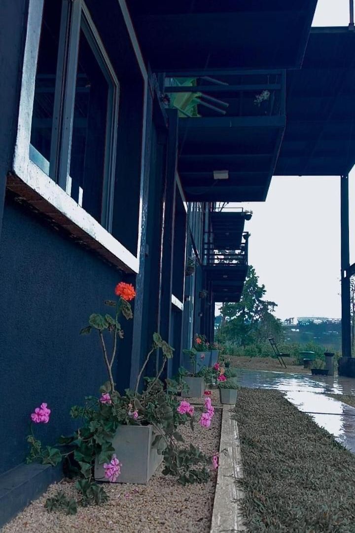 Cozy Nuwara Eliya
