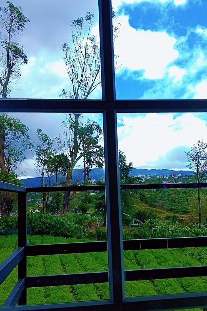 Cozy Hotel