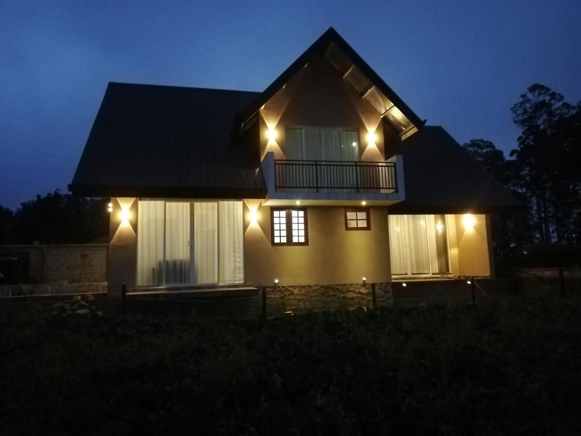 Honey Bees & Lily Trees Lodge