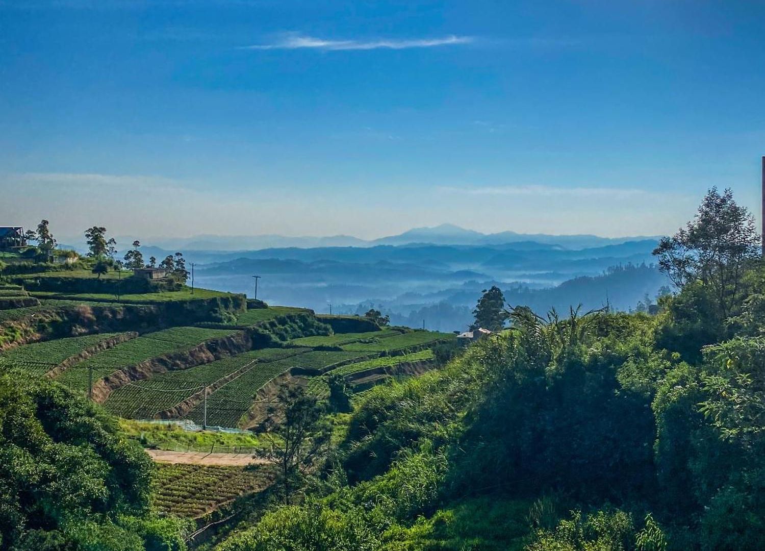 Hotel Delvins Nuwara Eliya