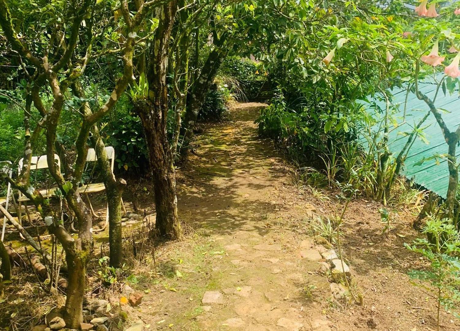 Homestay Pedro Stay,cooking Classes & Tours *