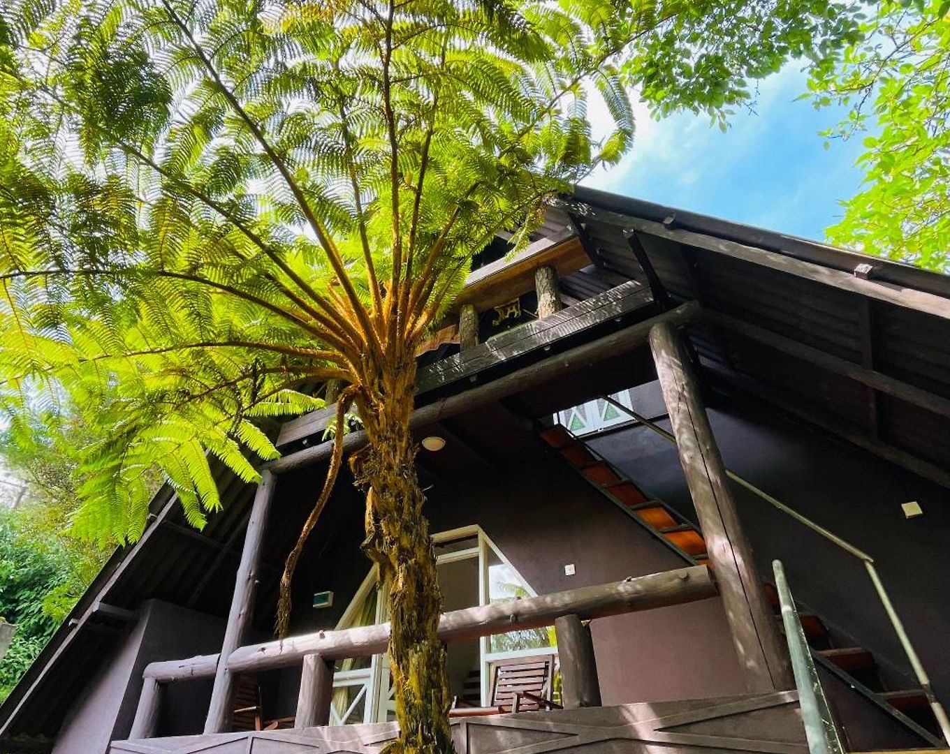 King Fern Guest house *