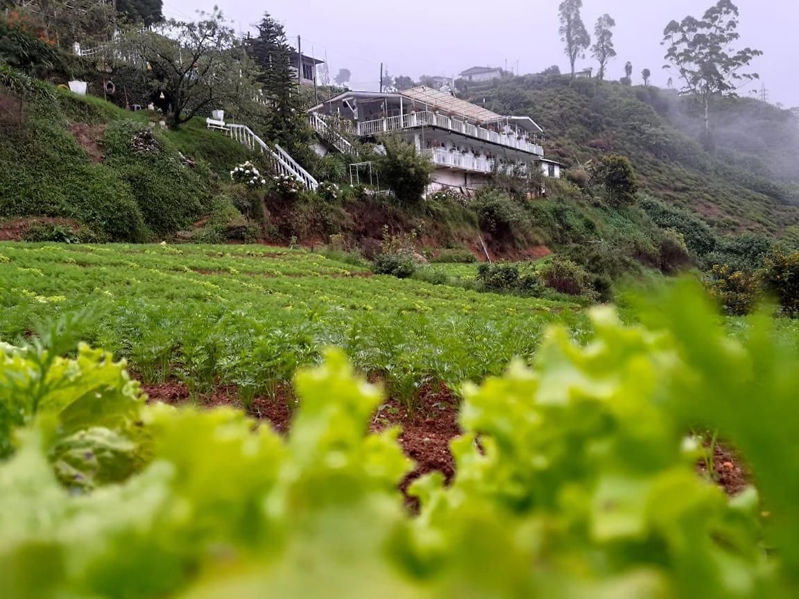 The Nuwaraeliya Nuwara Eliya