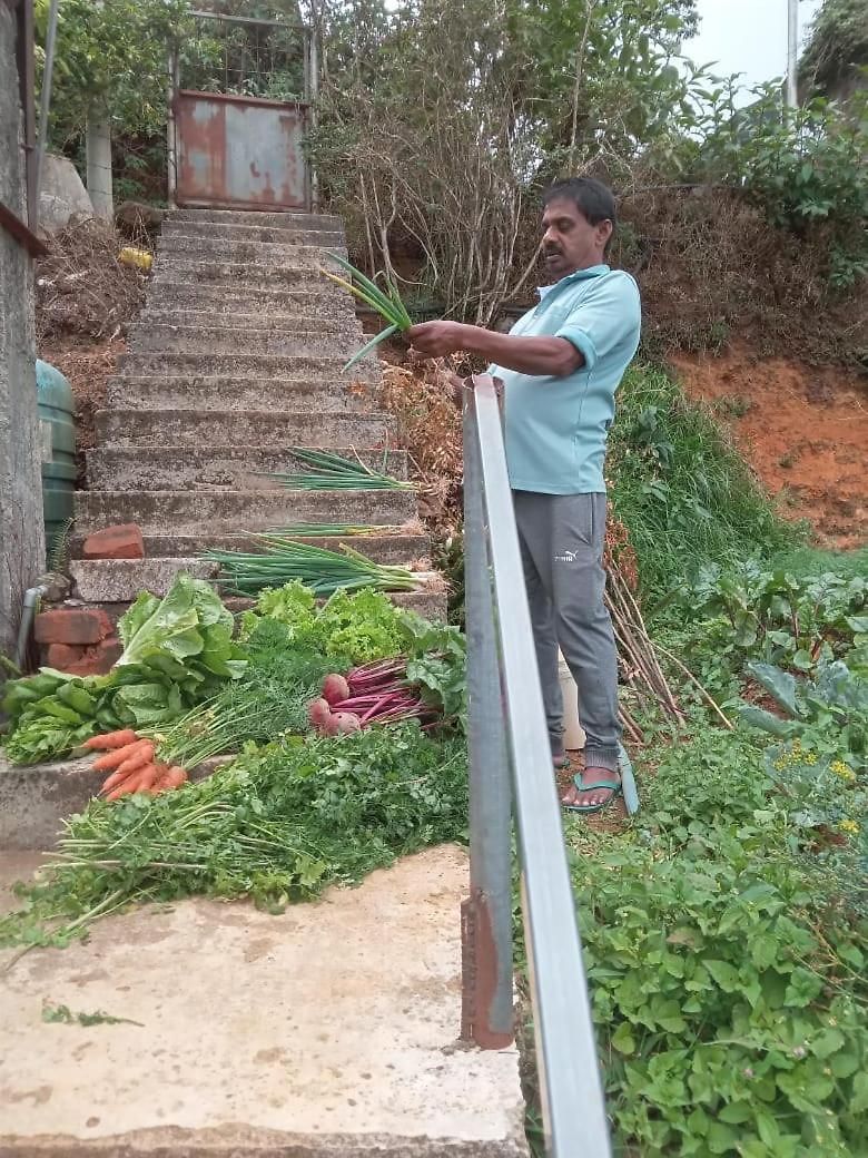 Homestay The Nuwaraeliya