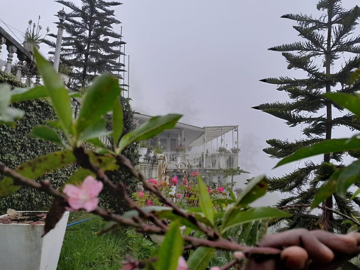 Homestay The Nuwaraeliya *