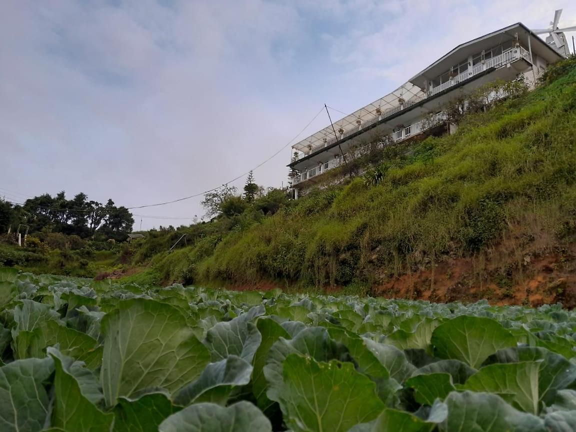 The Nuwaraeliya Homestay