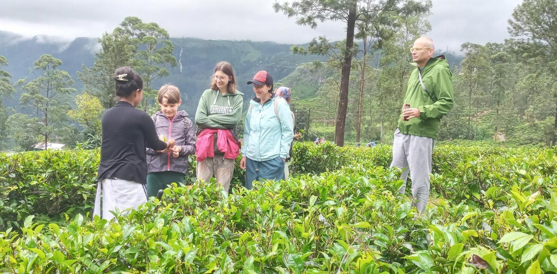 Serenity Heights Nuwara Eliya
