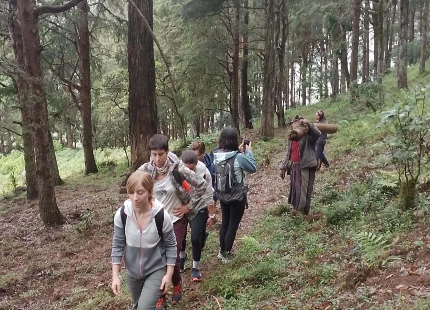 Hikers