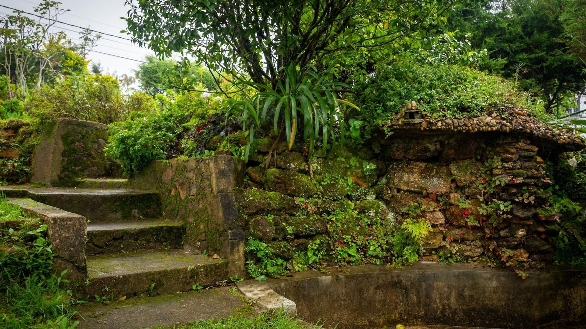 Tranquil Garden Nuwara Eliya