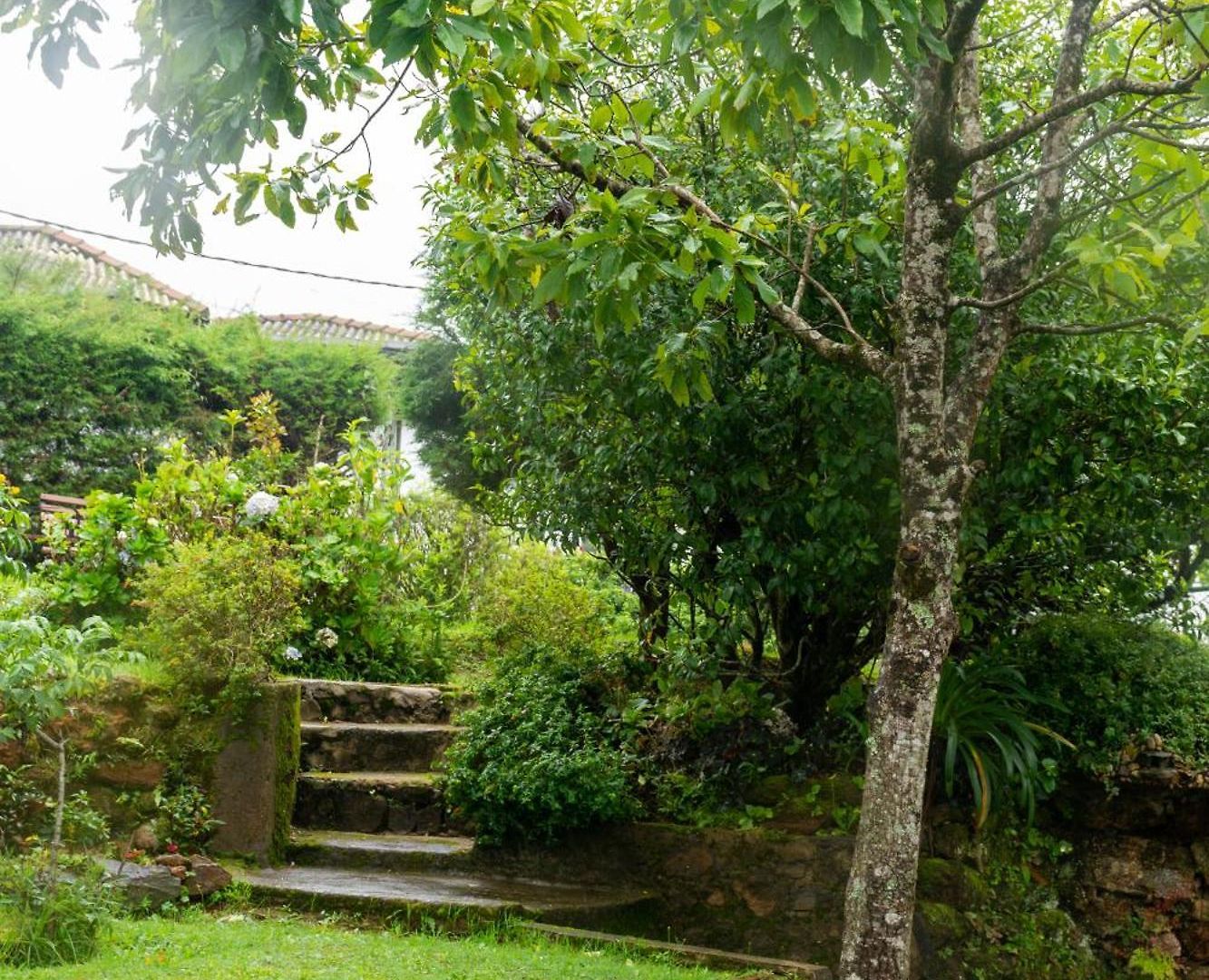 Tranquil Garden Bed & Breakfast