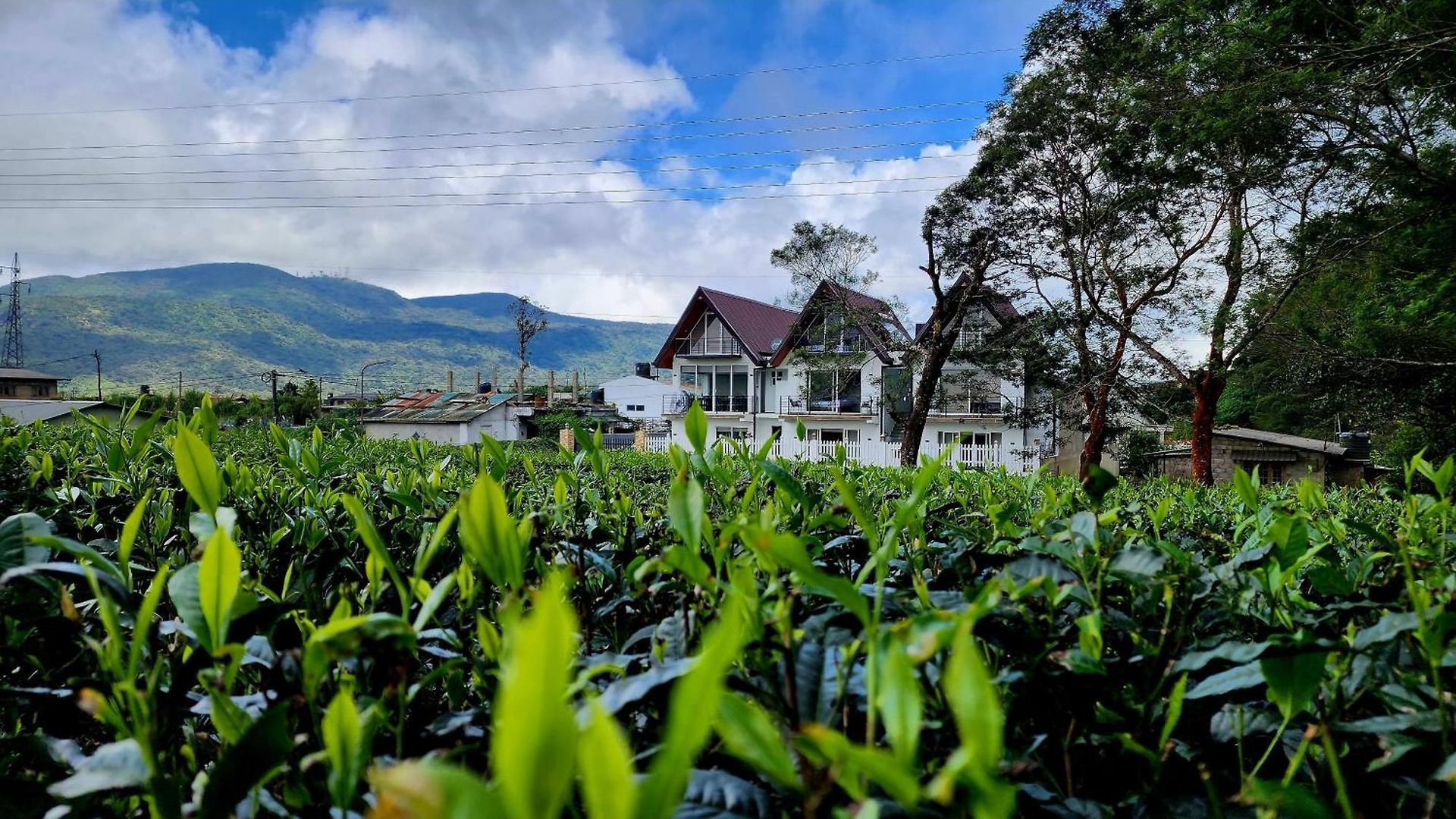 Mountain Misty-nuwaraeliya Hotel