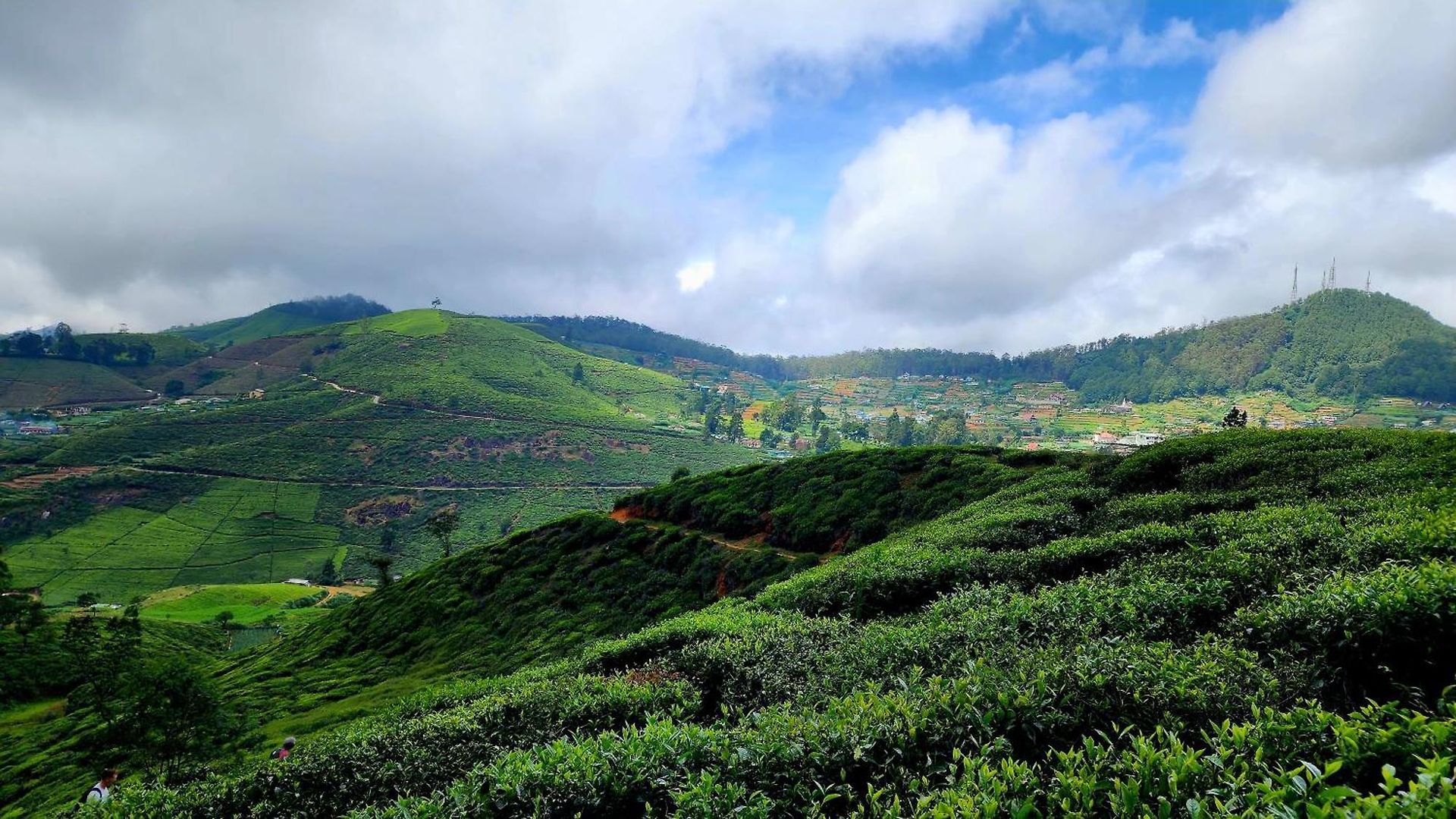 Hotel Mountain Misty-nuwaraeliya *