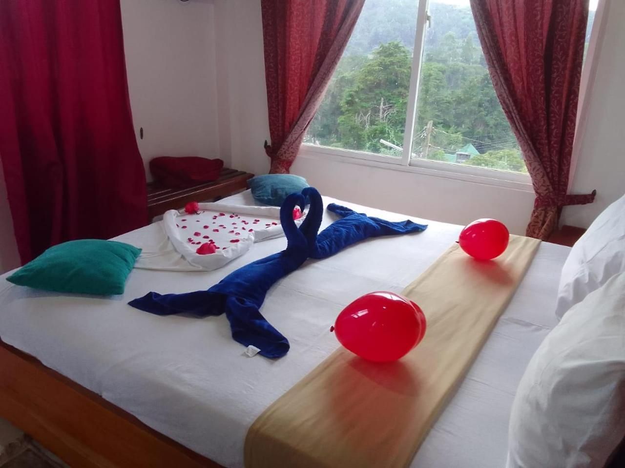 Santa Catherina Homestay *