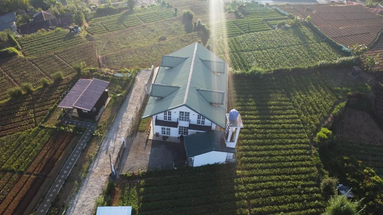Ivy * Nuwara Eliya