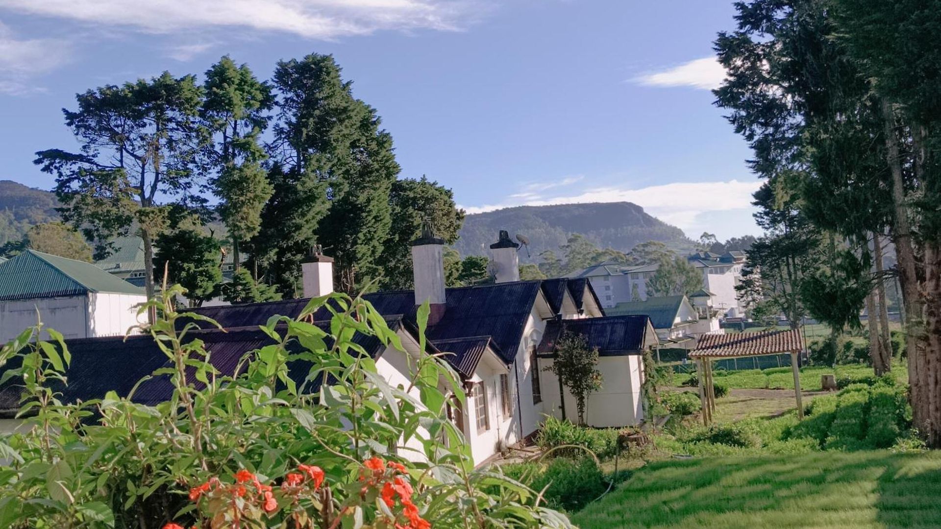 The Blues Bed & Breakfast Nuwara Eliya