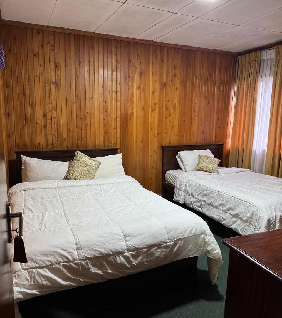 Single Tree Hotel