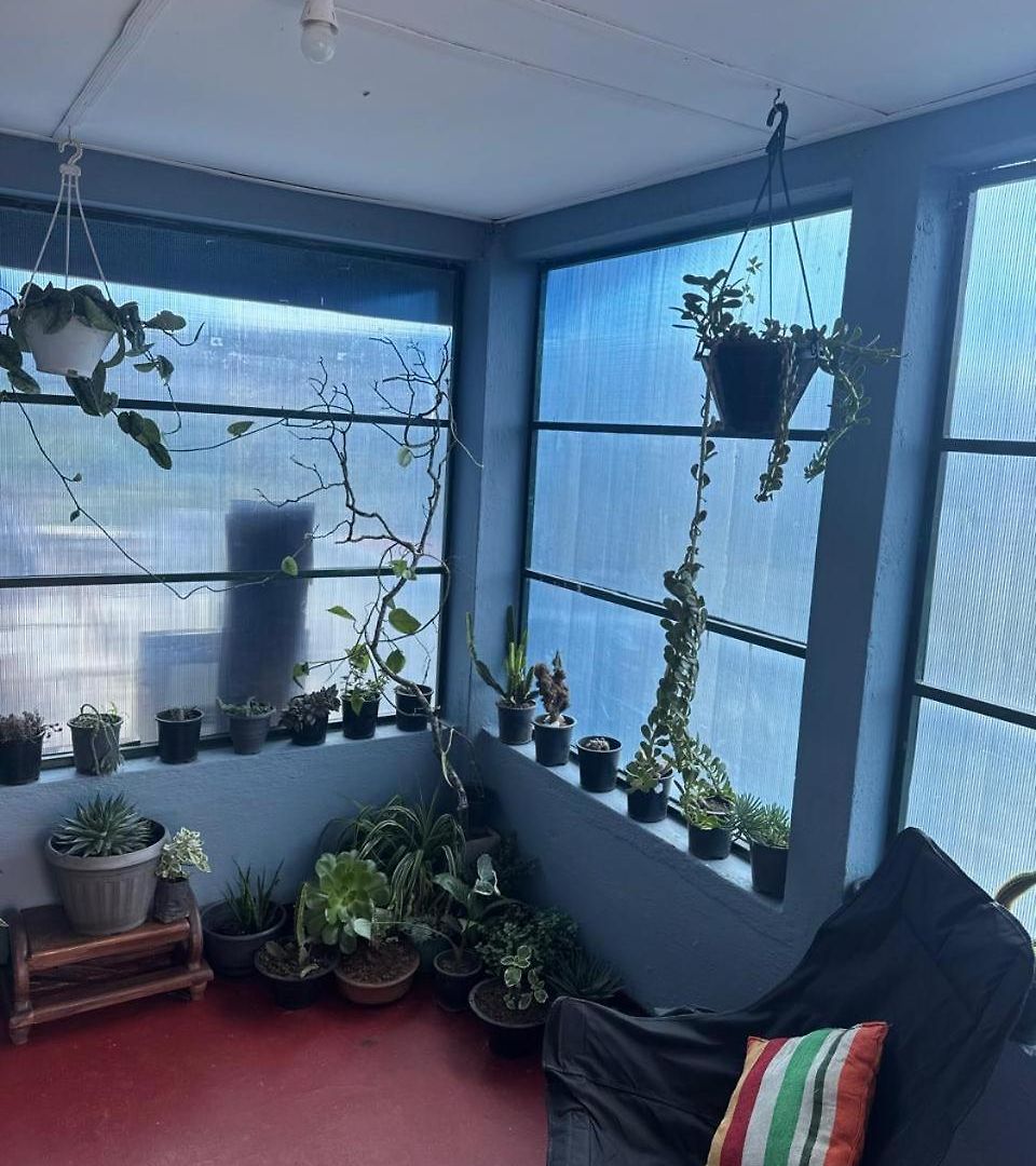 Homestay Succulent