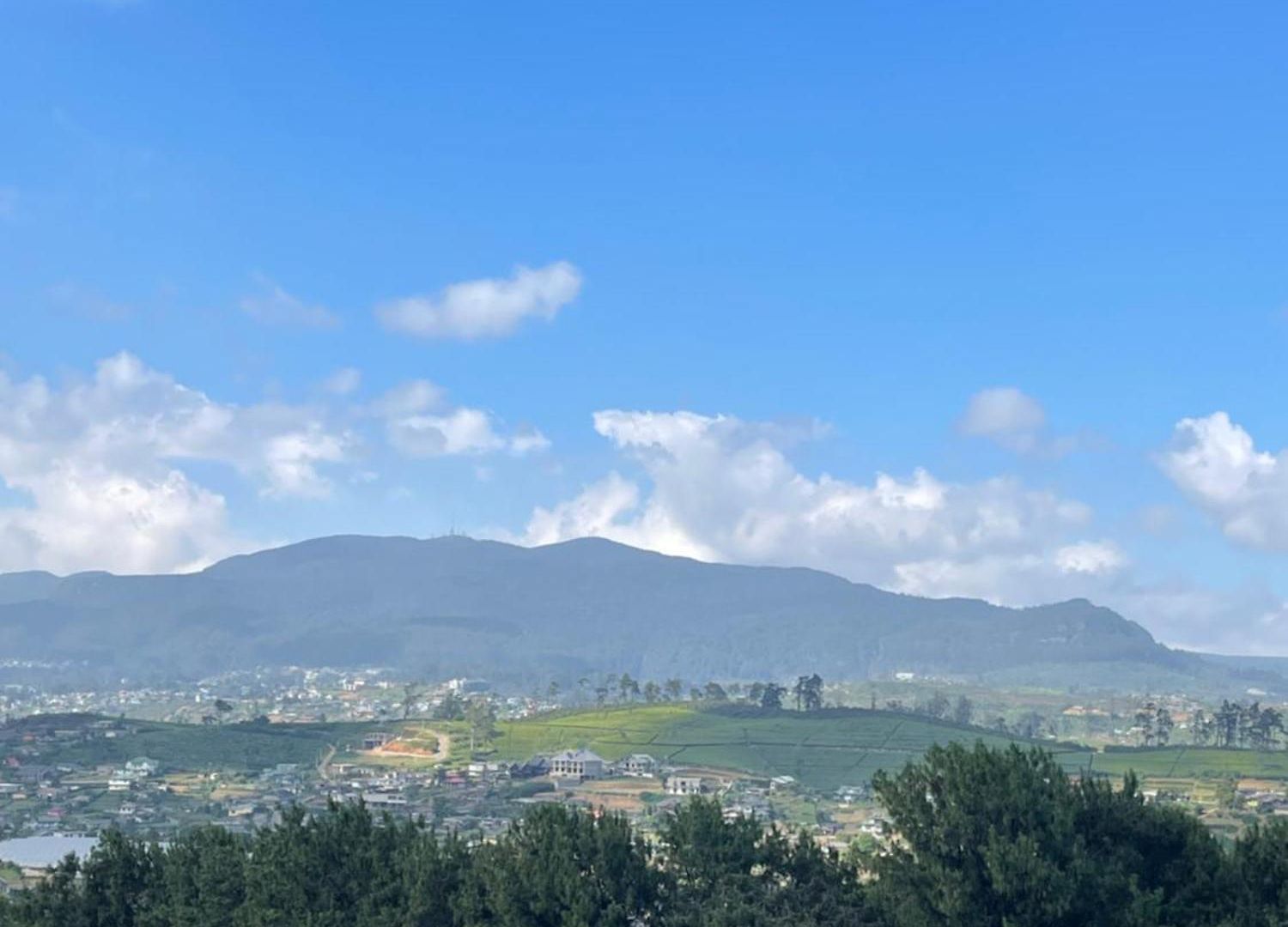 Bandara Nuwaraeliya Bed & Breakfast
