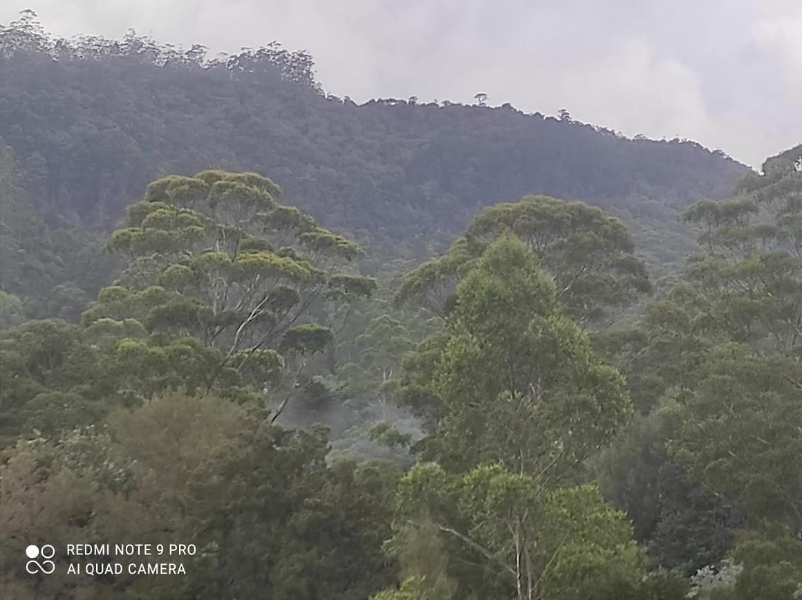 Guest house Winter Rest Nuwara Eliya