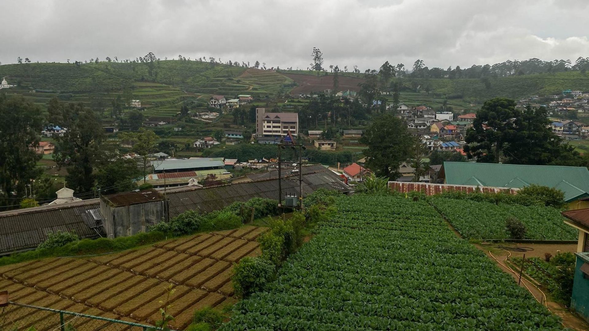 Homestay S And D *