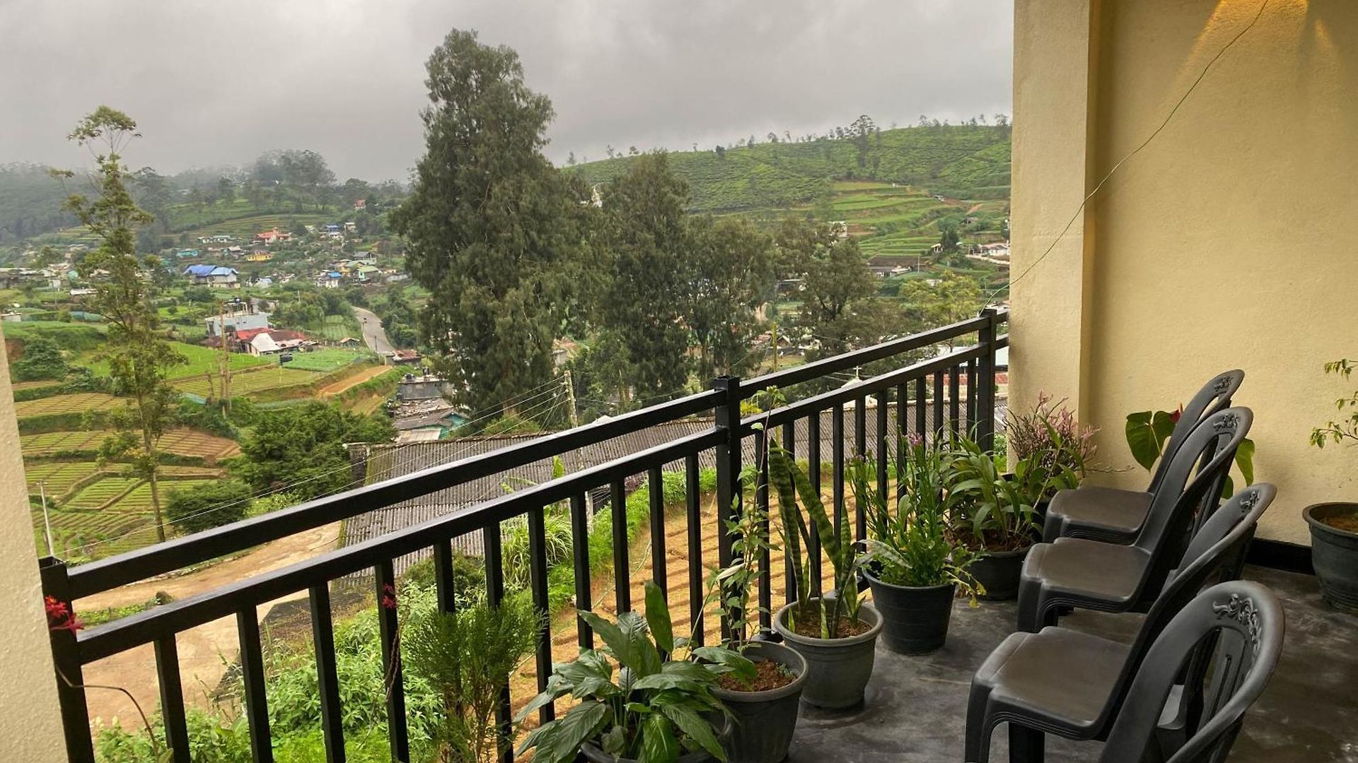 Homestay S And D *
