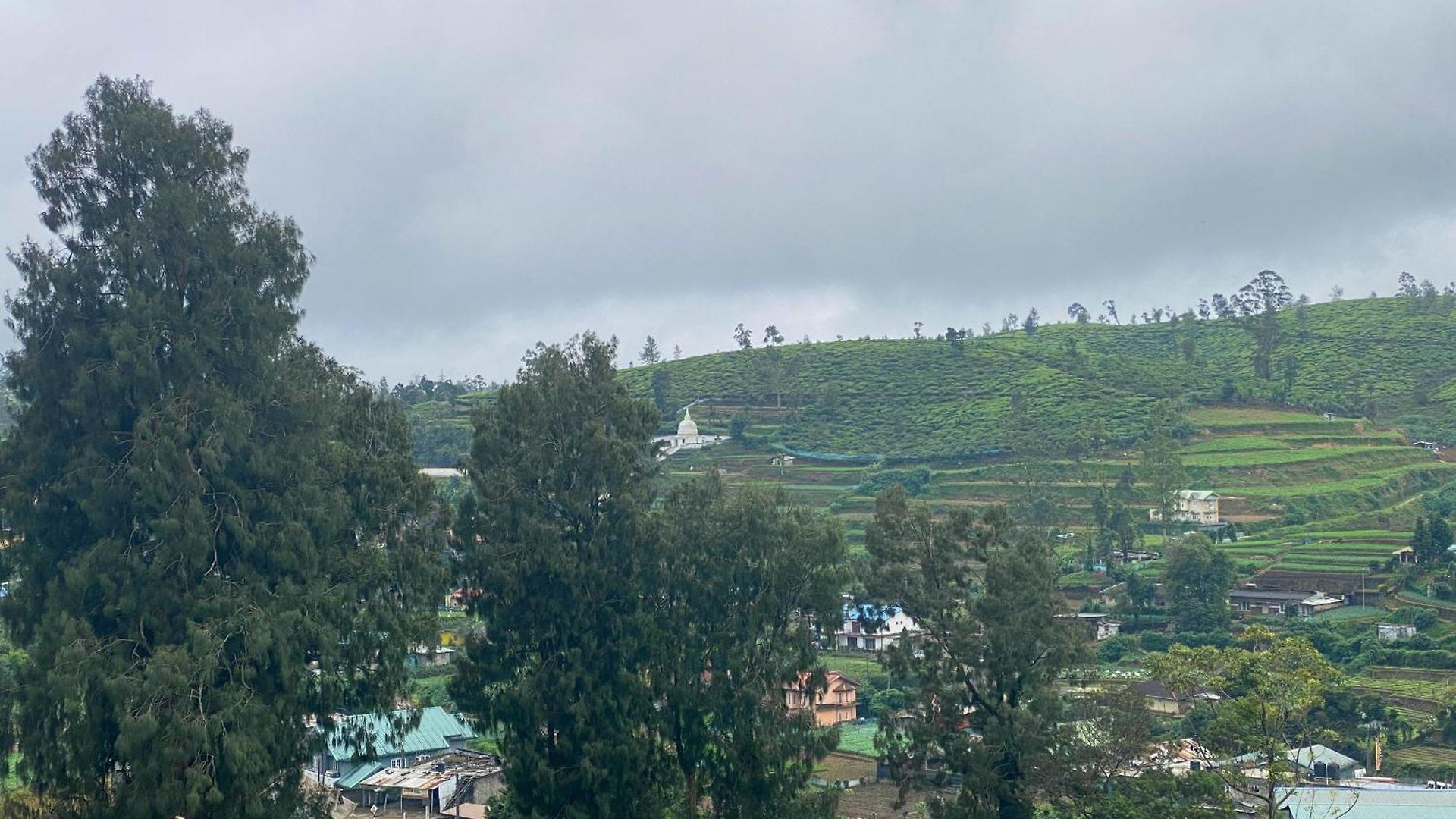 Homestay S And D Nuwara Eliya