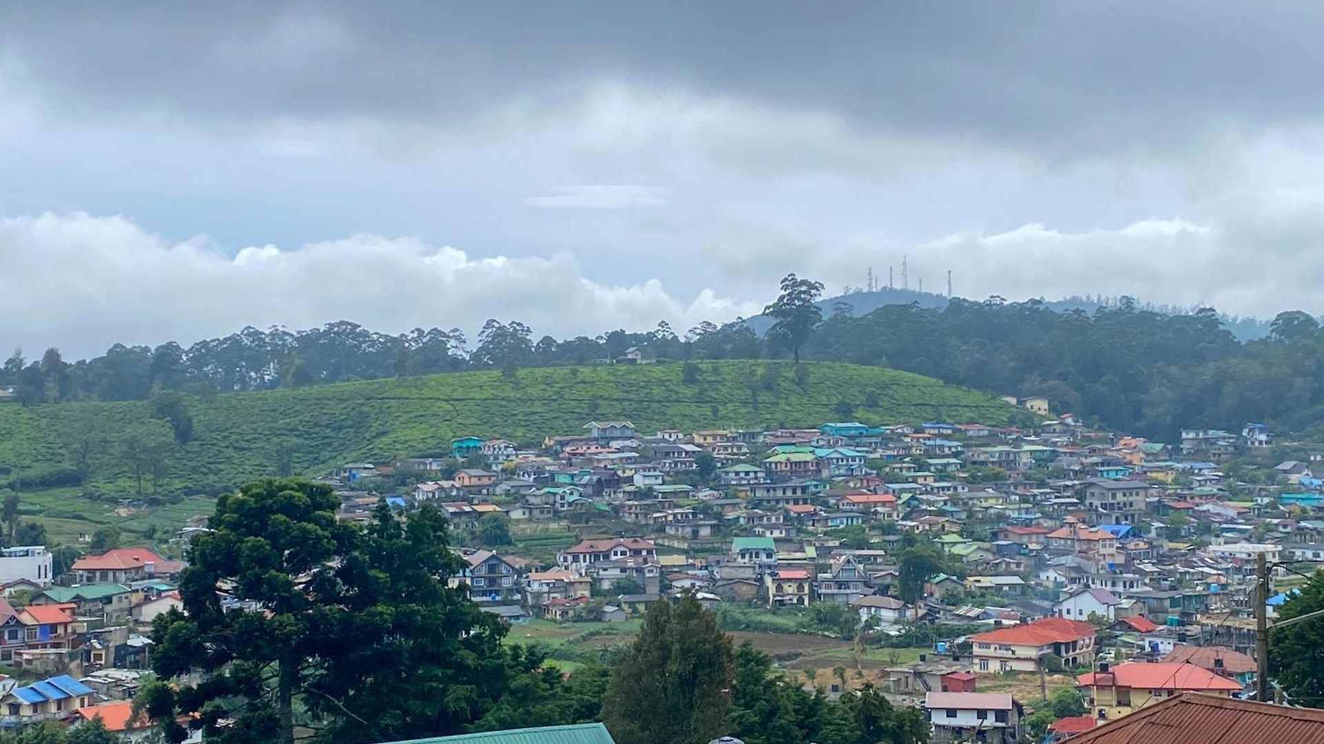 S And D * Nuwara Eliya