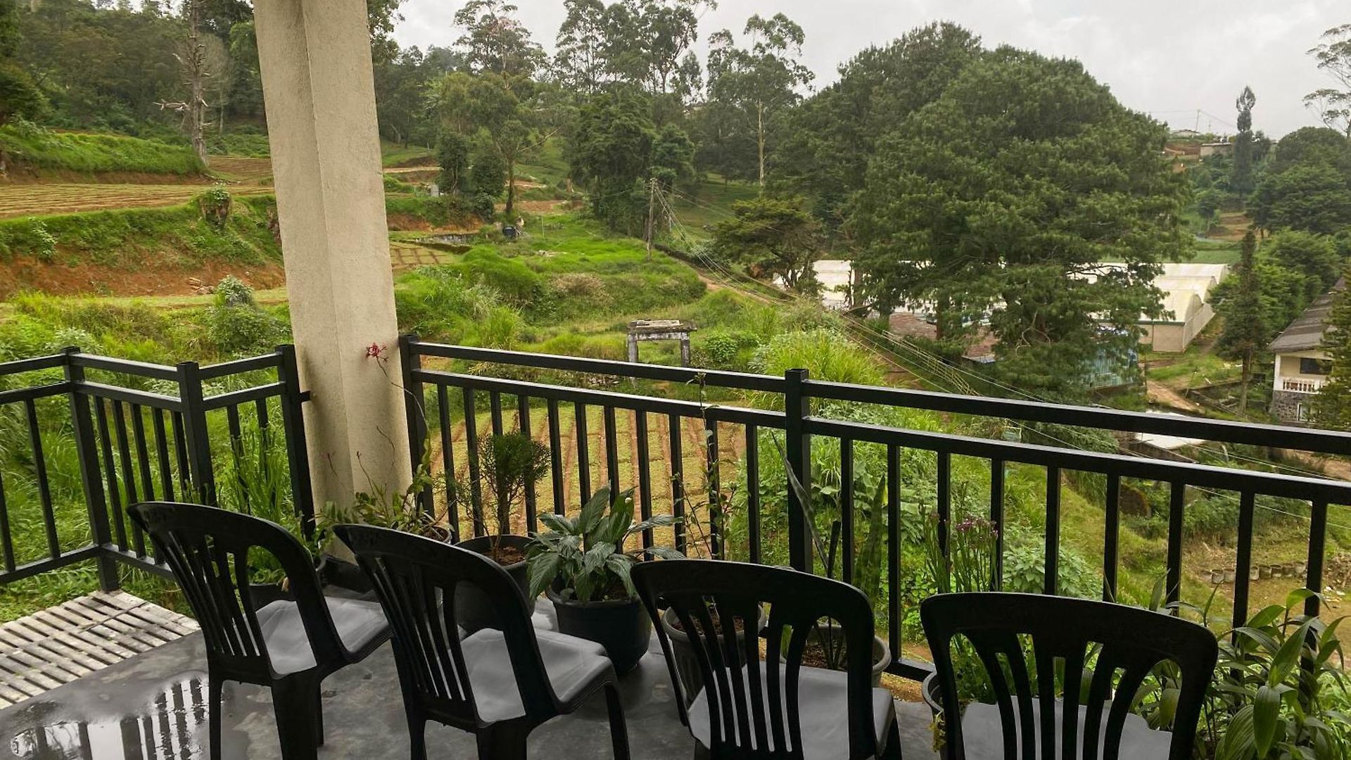 Homestay S And D