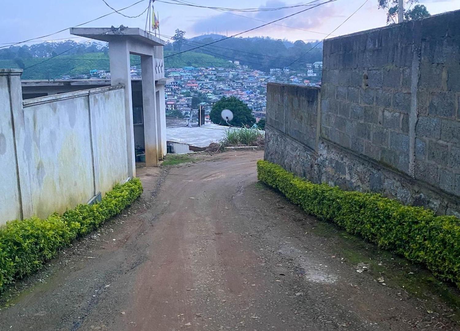 Homestay S And D *