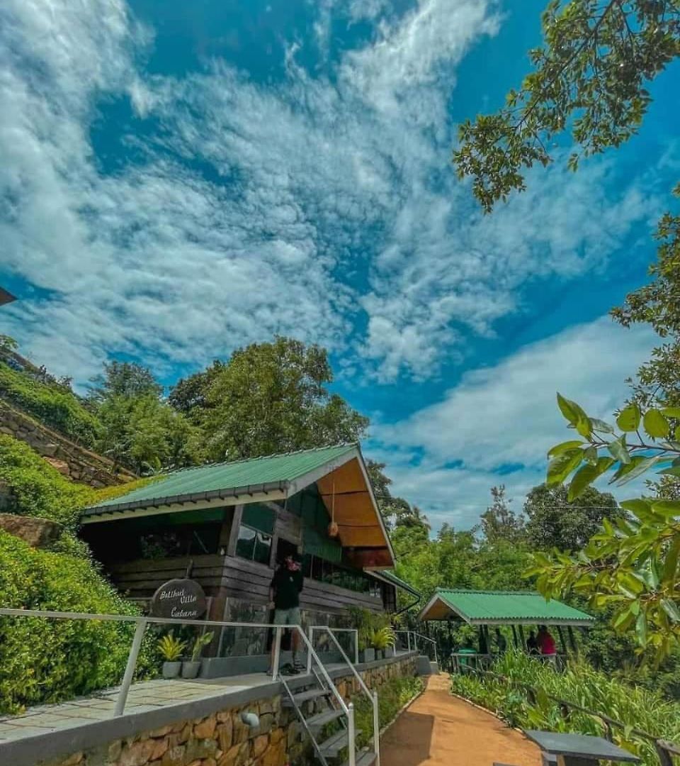 Guest house Belihull 3*
