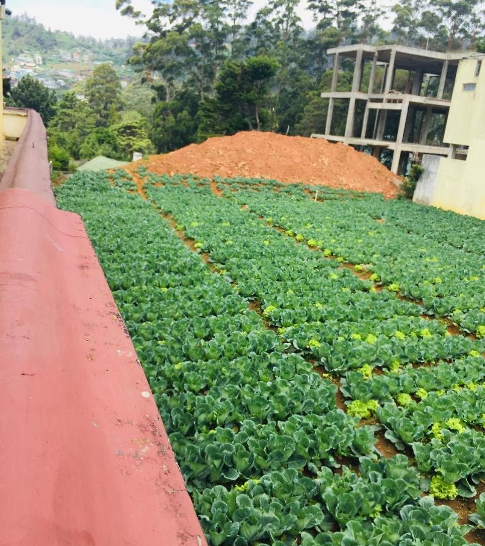 Villa Nuwara Eliya