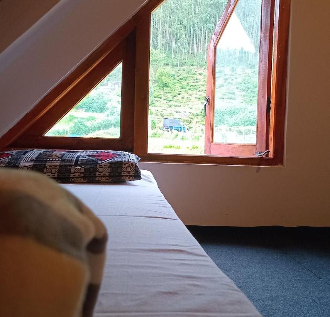 Lodge The Mount