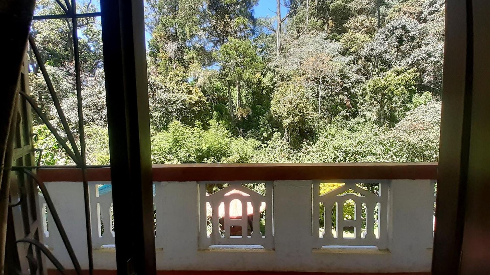 Forest View Rest Nuwaraeliya Guest house Nuwara Eliya