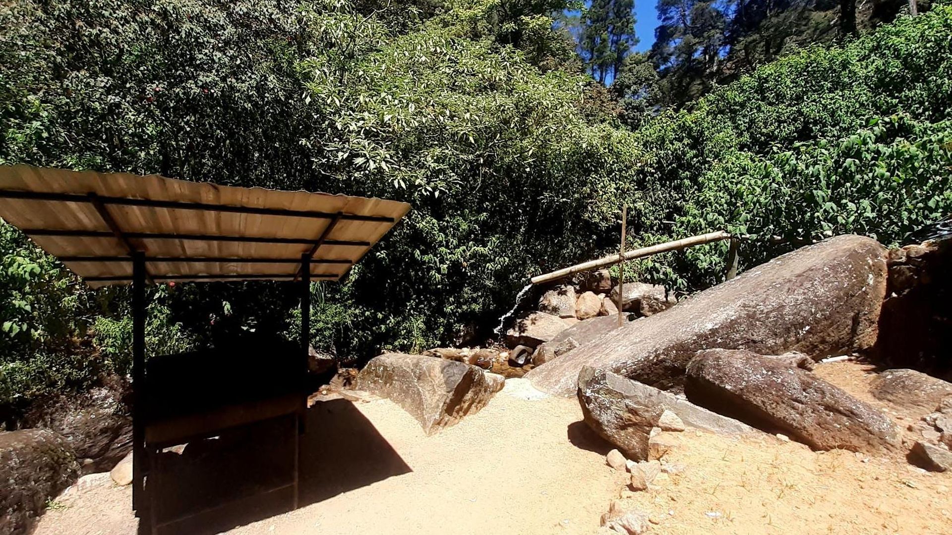 Forest View Rest Nuwaraeliya *