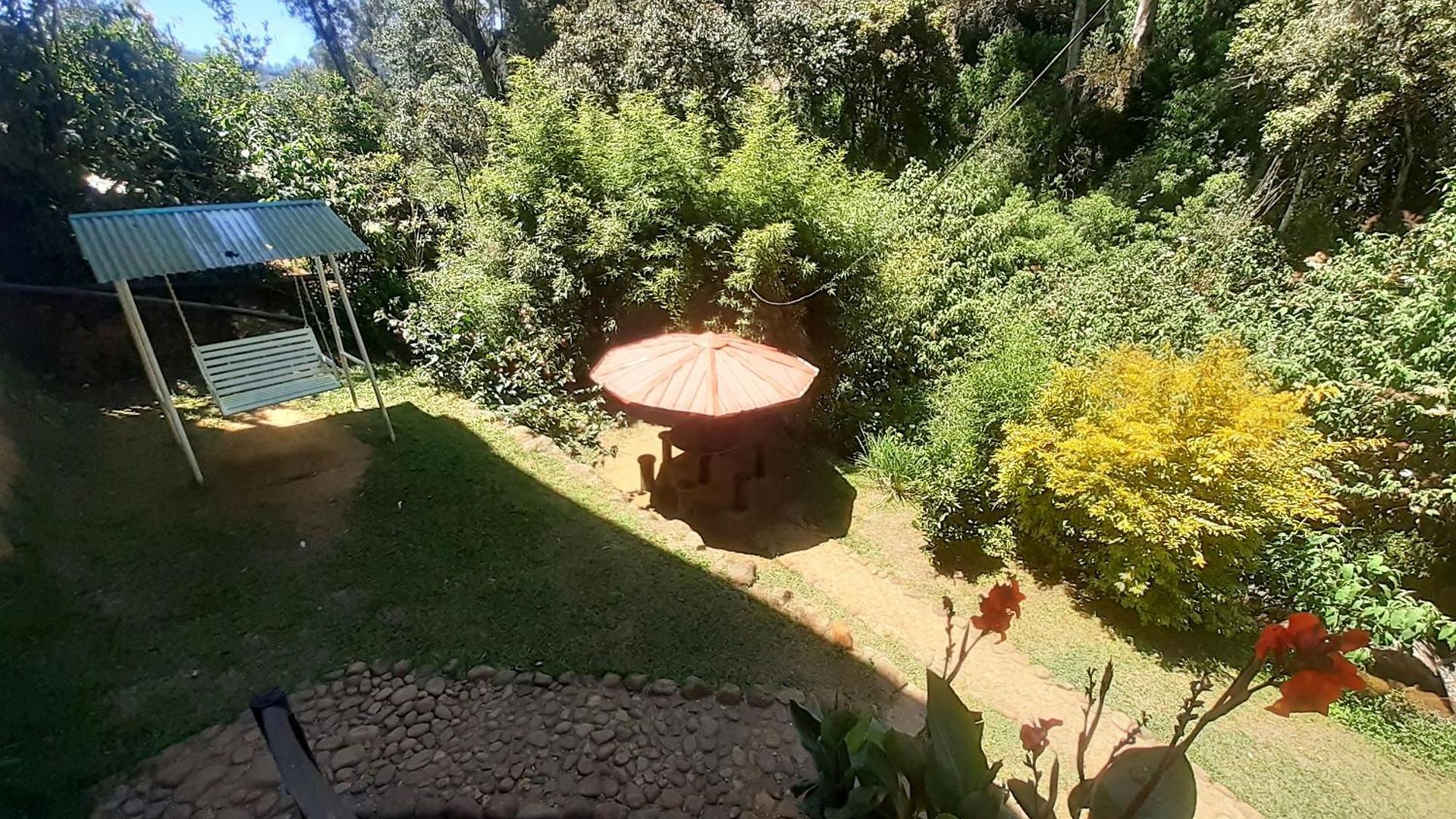 Forest View Rest Nuwaraeliya Nuwara Eliya