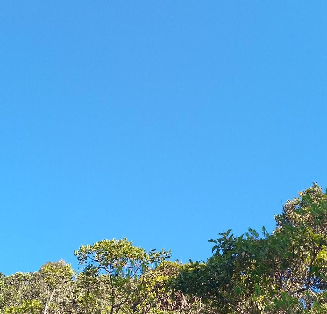 The Mount Nuwara Eliya