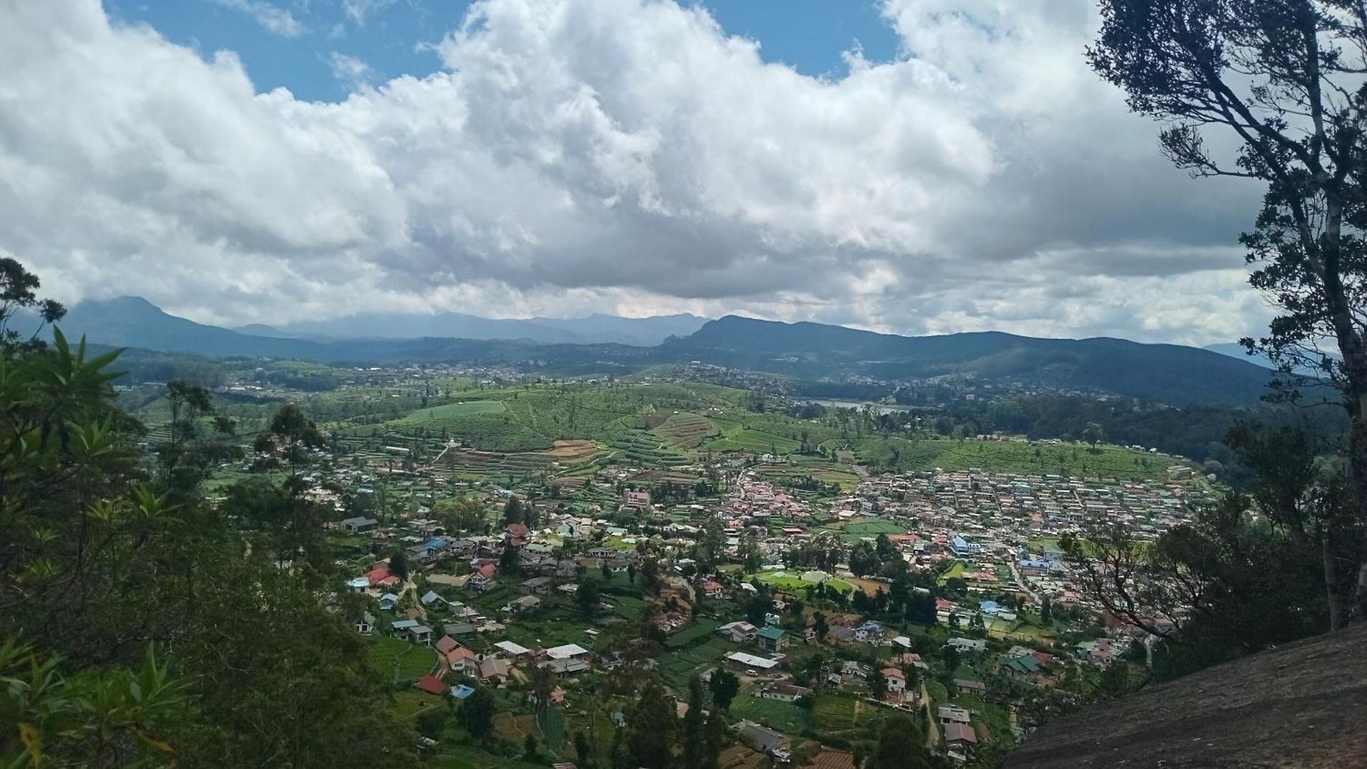 The Mount *