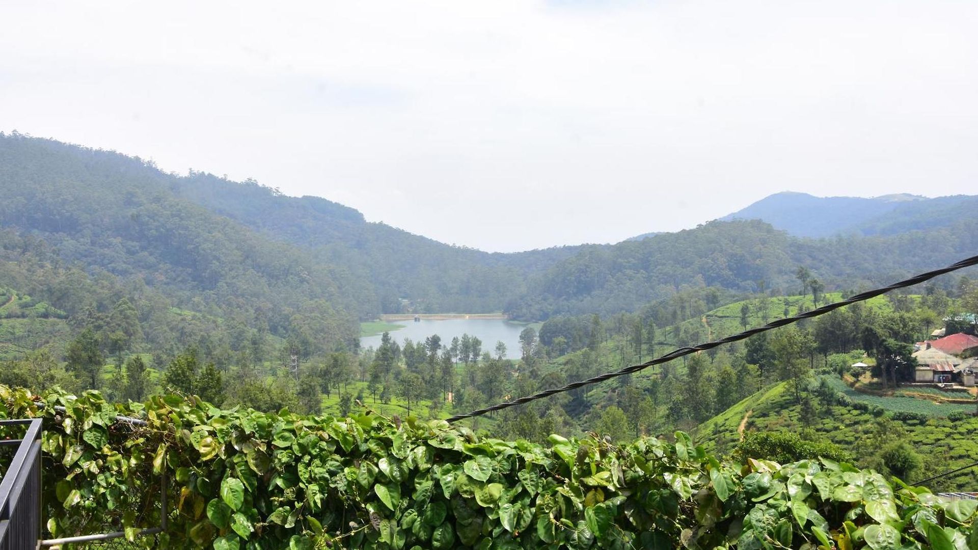 View Homestay