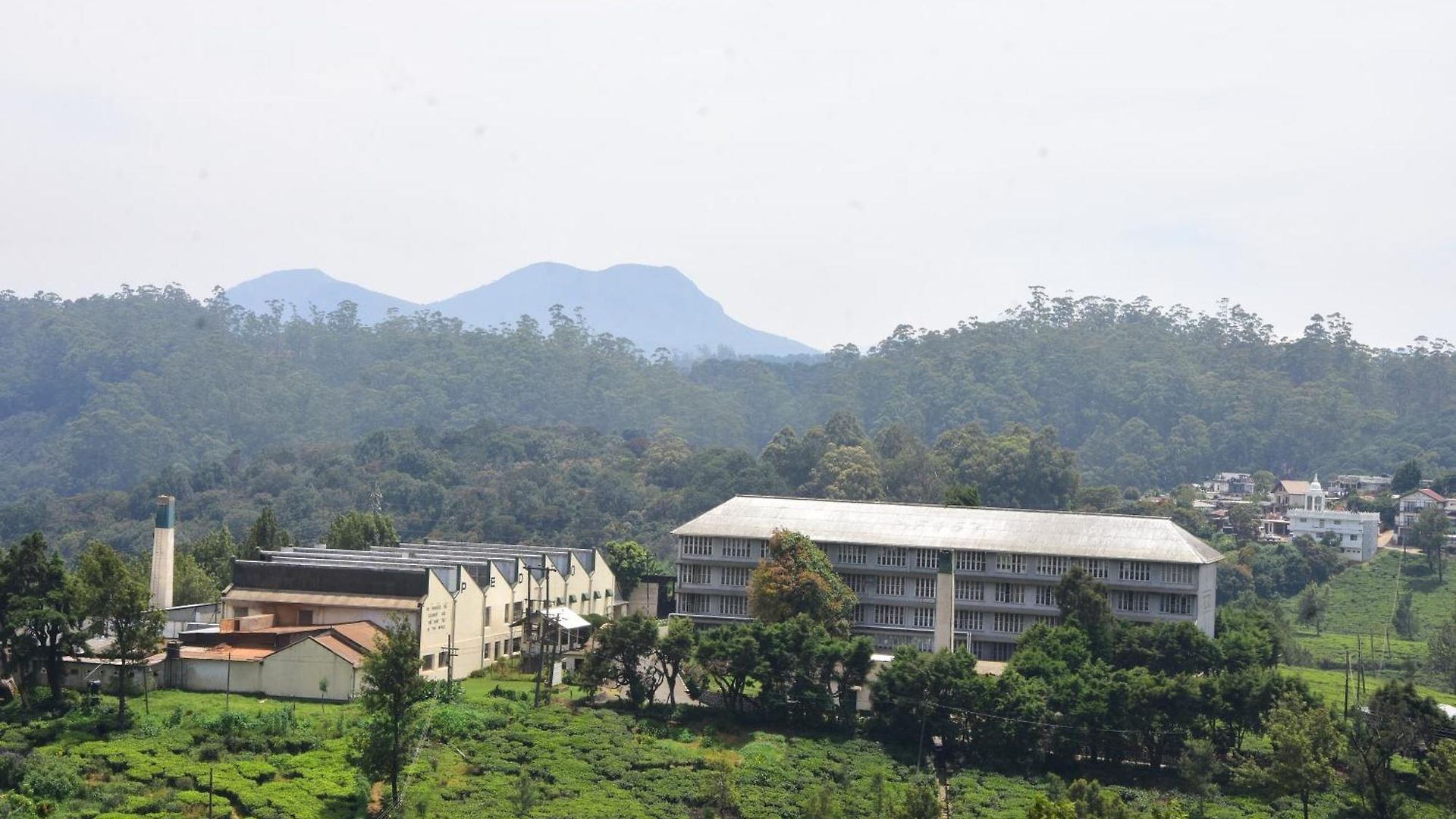 Homestay View