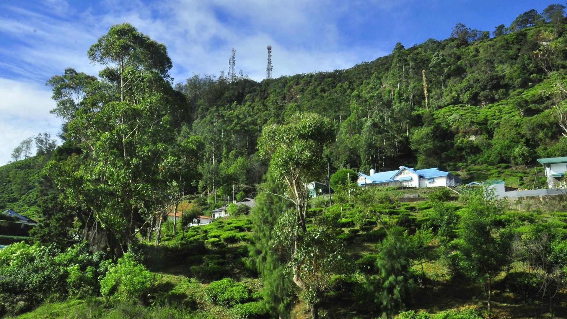 Guest house Summer Glow Guest - Nuwara Eliya