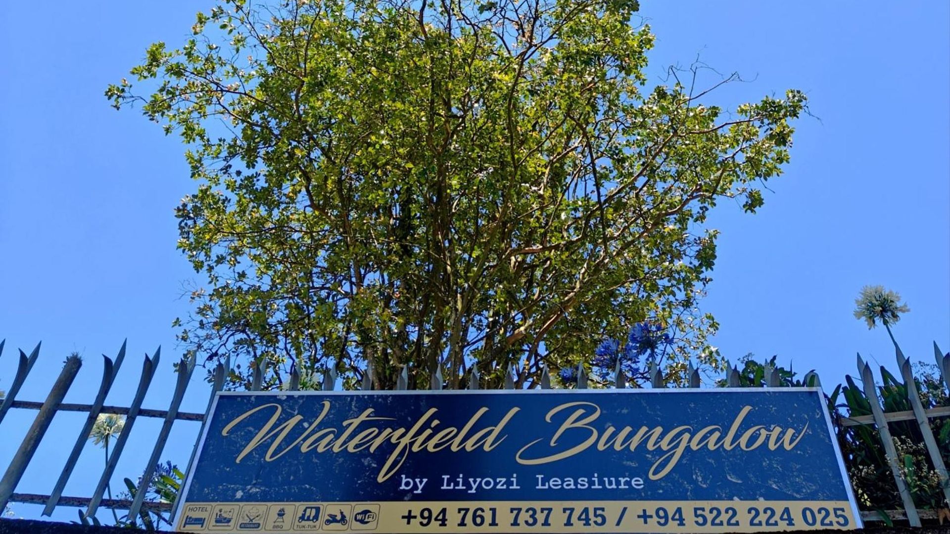 Waterfield By Liyozi Leasiure * Nuwara Eliya