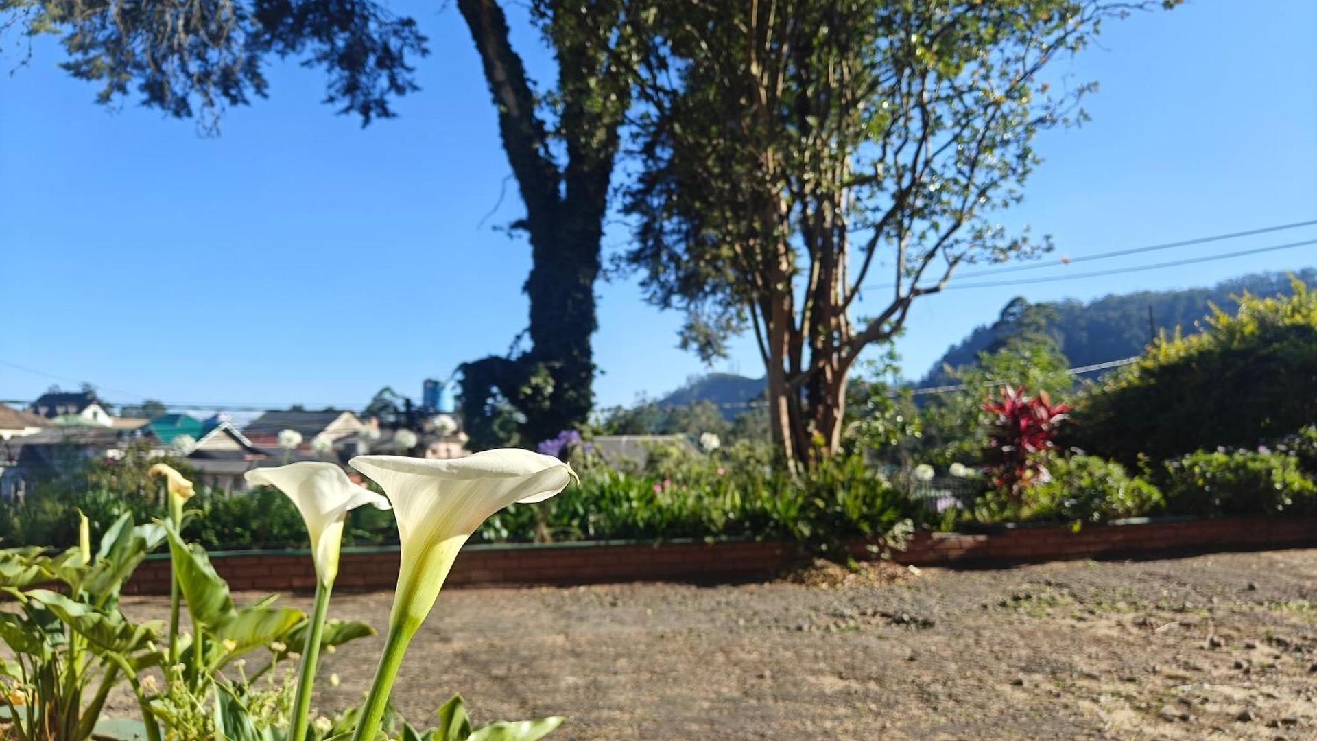 Waterfield By Liyozi Leasiure Country house Nuwara Eliya