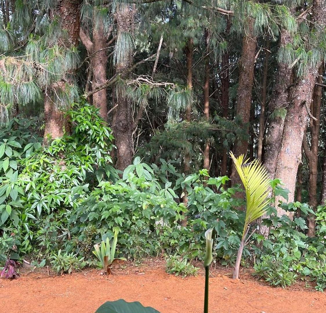 Holiday home Laza Nuwara Eliya