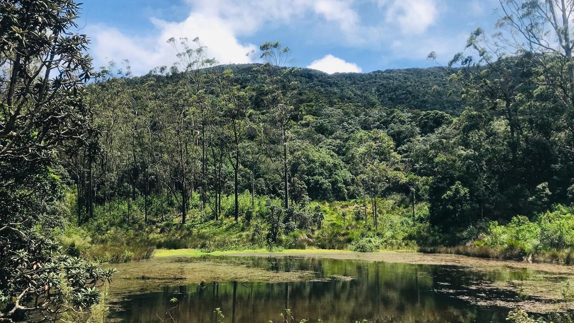 Horton Nuwara Eliya