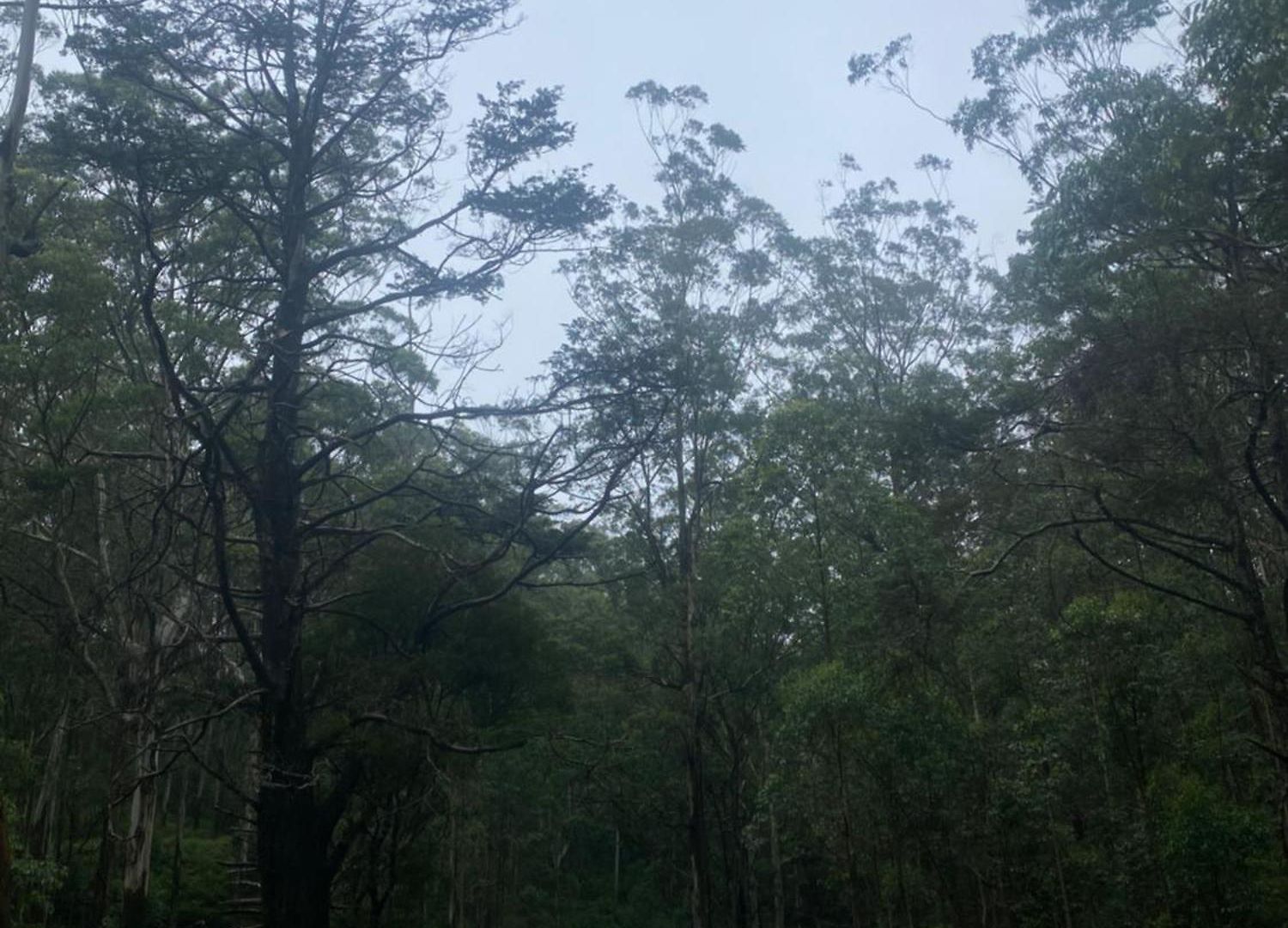Horton * Nuwara Eliya