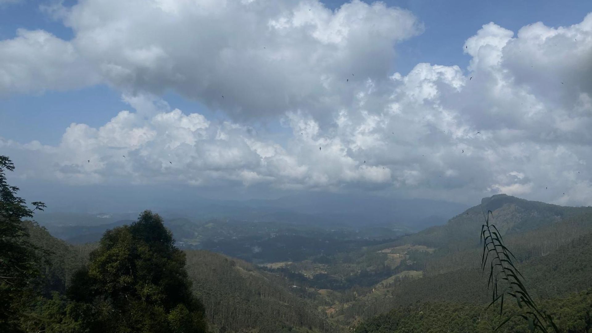 Horton * Nuwara Eliya