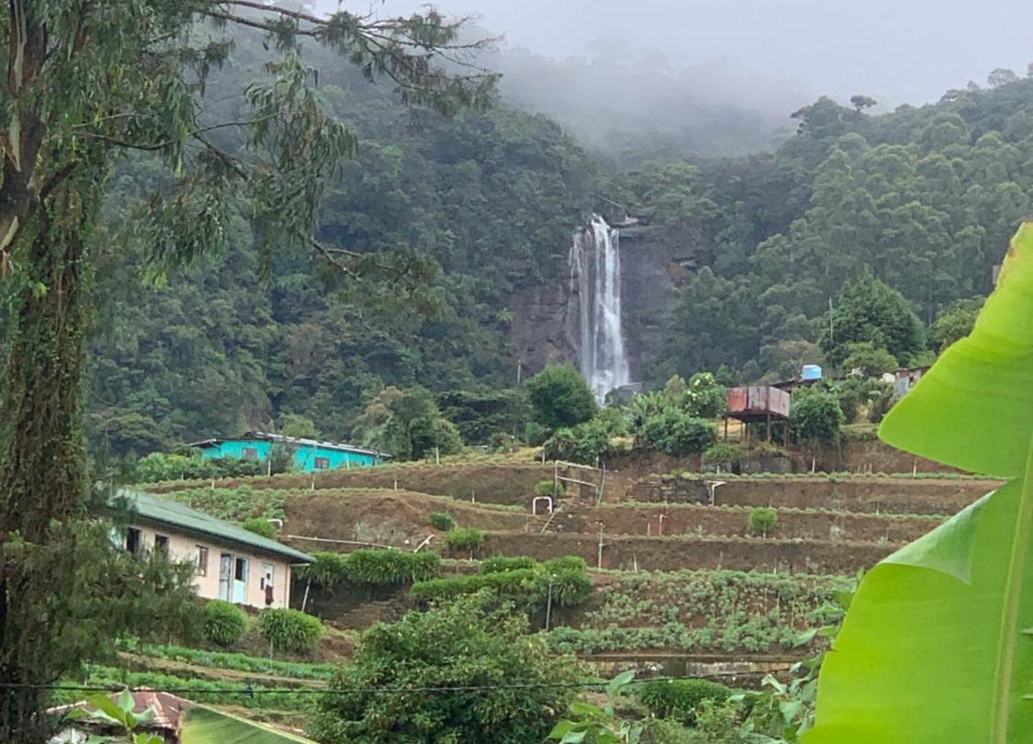 2020 Wooden Nuwara Eliya