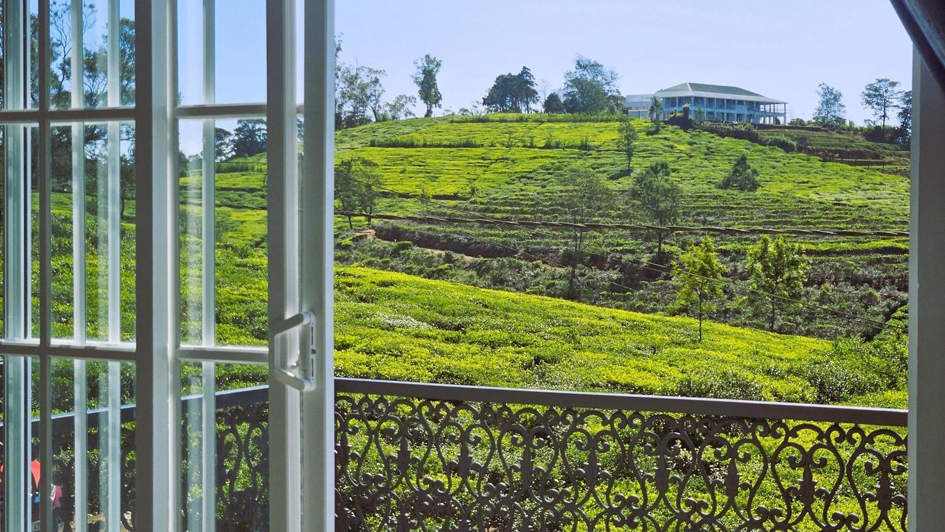 Villa Private By The Tea Estate