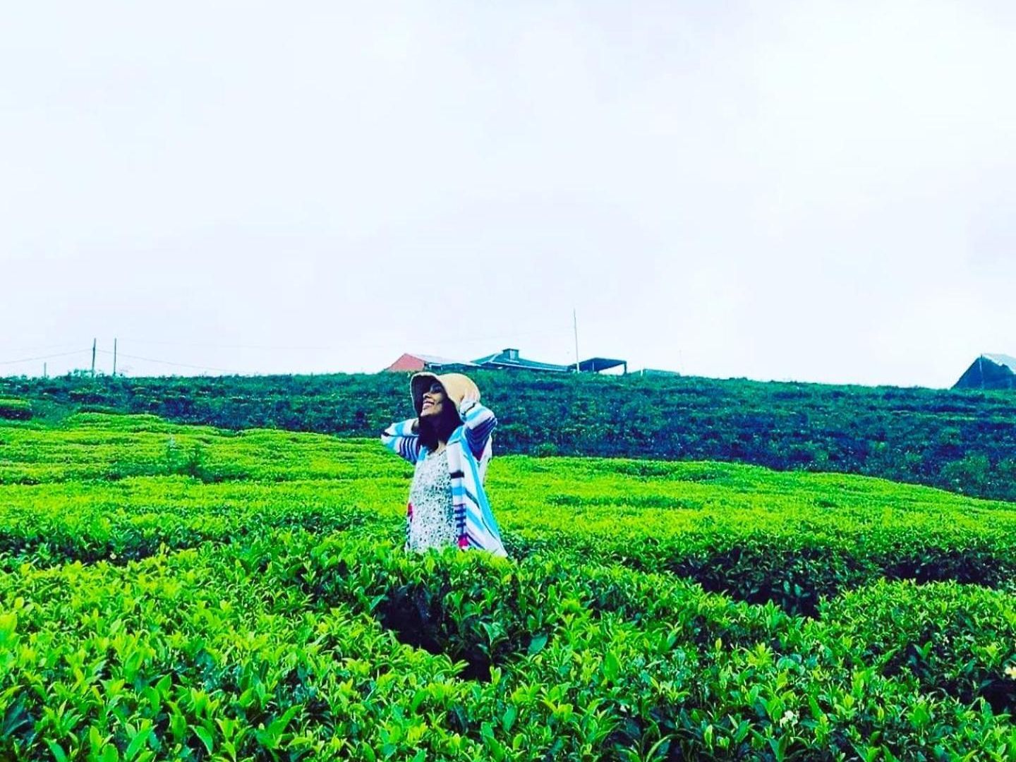 Villa The Tea Garden - Complimentary Breakfast, Near Gregory *